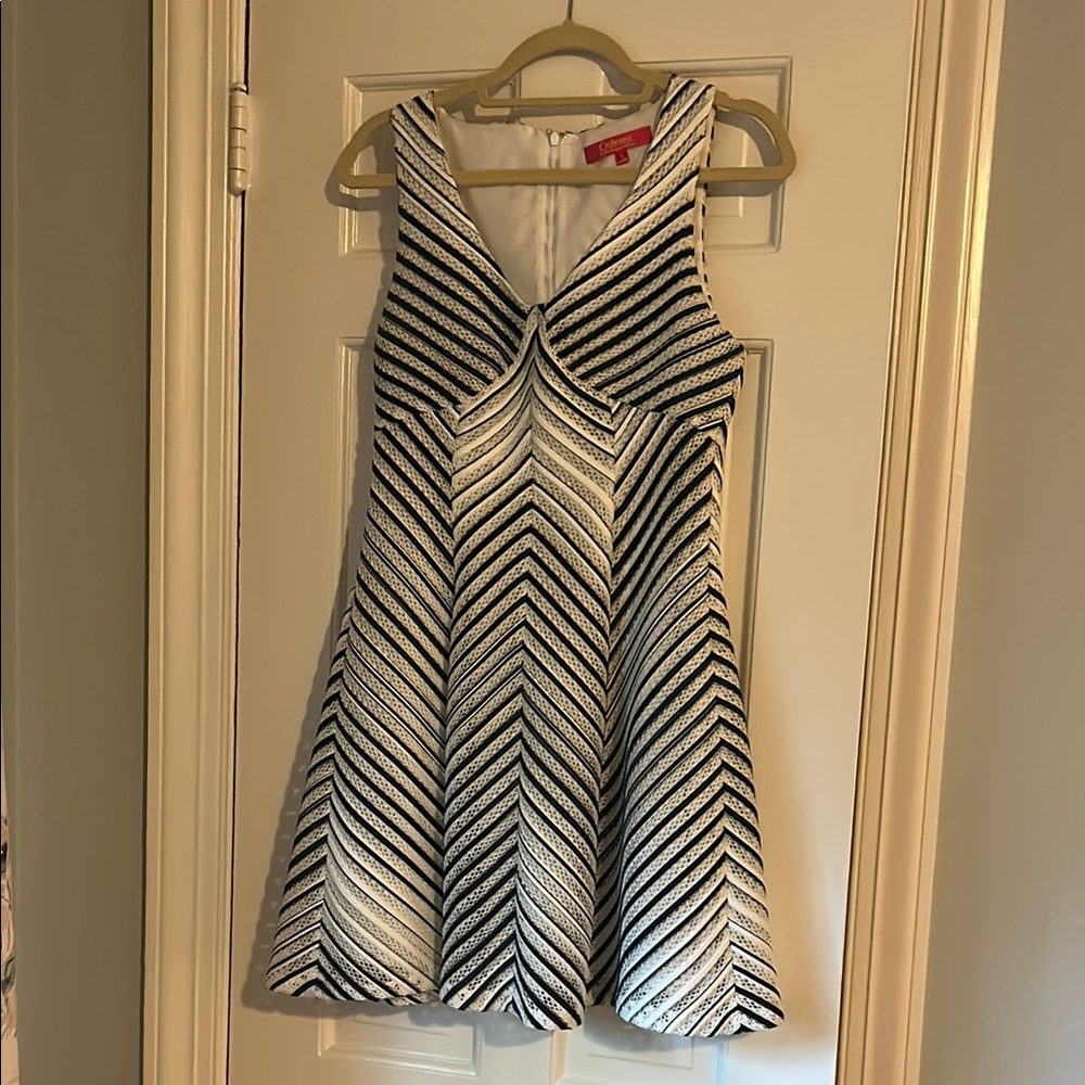Catherine Malandrino Striped Dress
